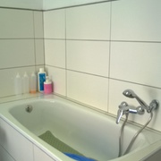 Bañera canina