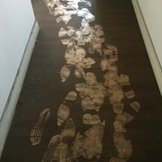 Limpiezas por incendios