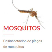 Desinsectación de Mosquitos