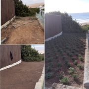 Creación de arríate con instalación de riego