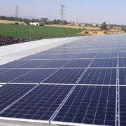 Placas solares en intalacion ganadera 5