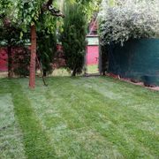 Plantación de césped en tepes en Garrapinillos,final