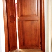 Protector Lasure