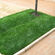 Instalación riego y césped en tepes natural