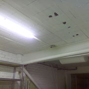 LUCES
