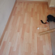Suelo laminado haya