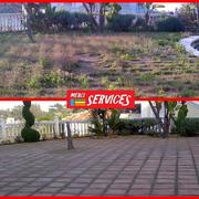 Limpieza puntual de jardin