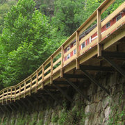 Pasarela de madera