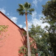 Puesta a punto jardín