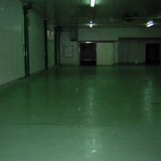 pintado instalaciones alimentarias grupo valls companys en sastago zaragoza en 5000 metros