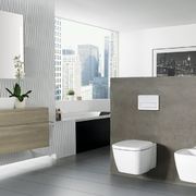 Baño reformado de forma Integral