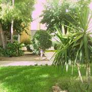 paisajismo y Jardinería