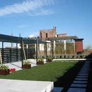 ZONA CESPED