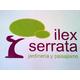 Ilexserrata