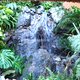 Ambientes Naturales