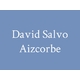 David Salvo Aizcorbe