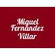 Miguel Fernández Villar