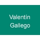 Valentín Gallego
