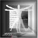 arqora Estudio de Arquitectura