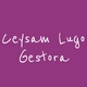Logo Ceysam Lugo Gestora