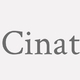 Logo Cinat_173486