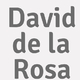 Logo David de la Rosa_250346