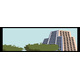 Logo Imagen jpg_196976