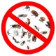 stop-plagas_395696