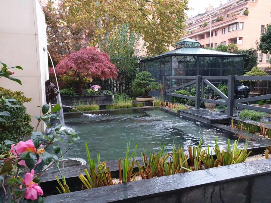Biopiscina urbana