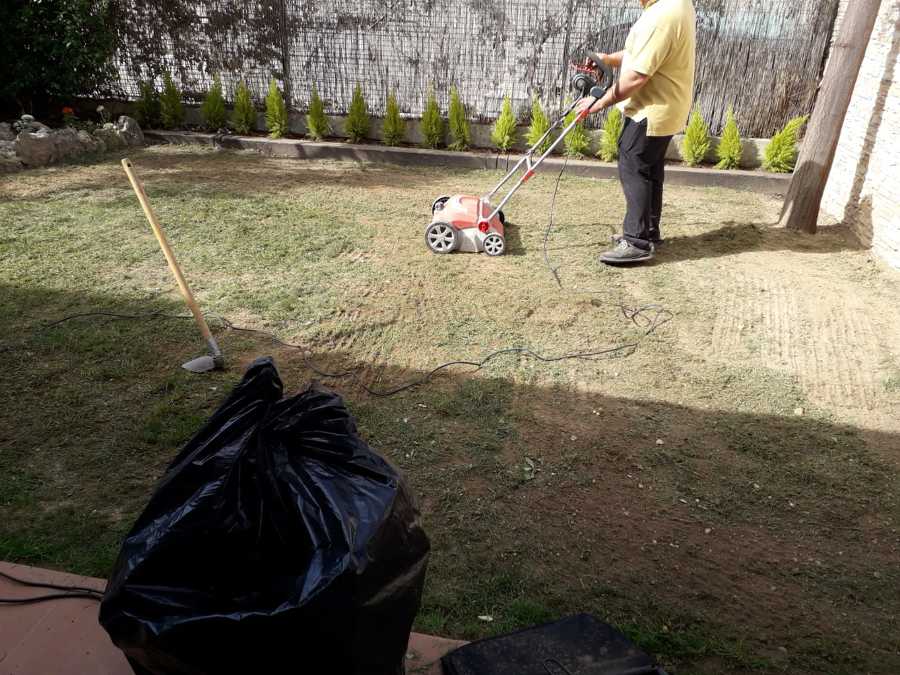 Foto: Puesta Punto Jardin de Chapuzas Por Horas #1761126 - Habitissimo