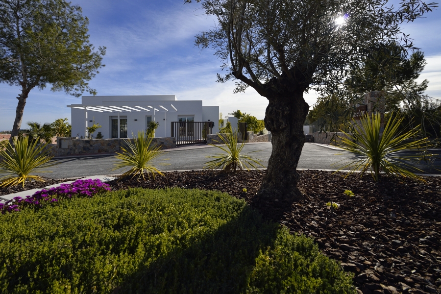 Villa 1