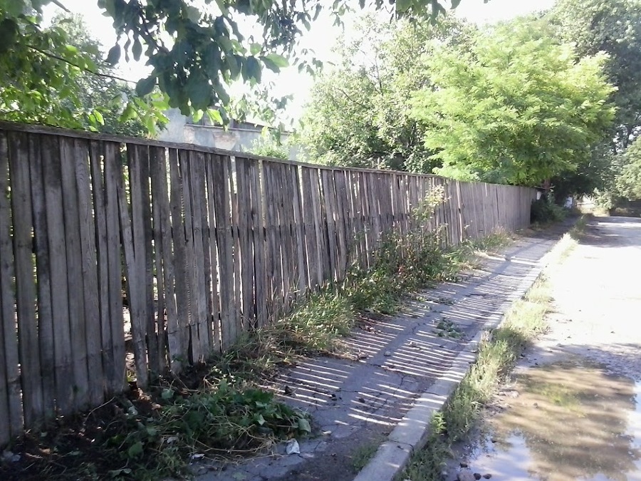 muro