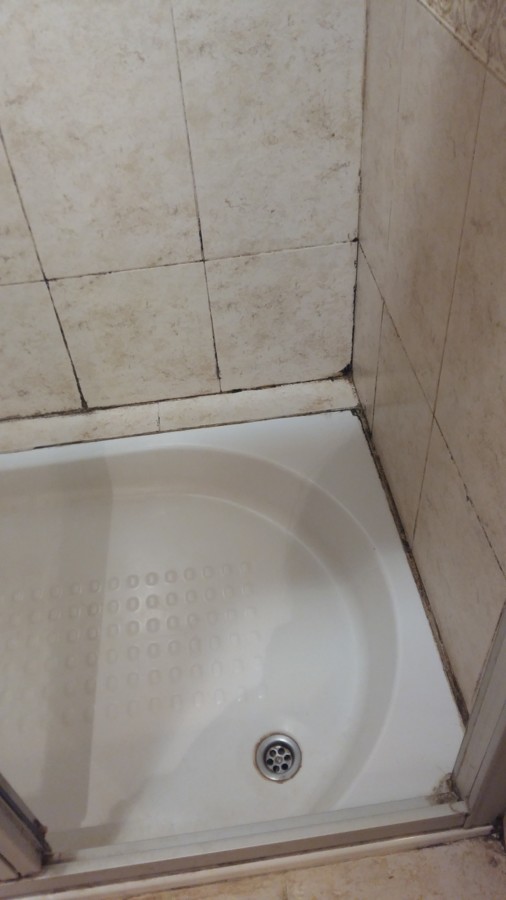 BAÑO PLATO DUCHA