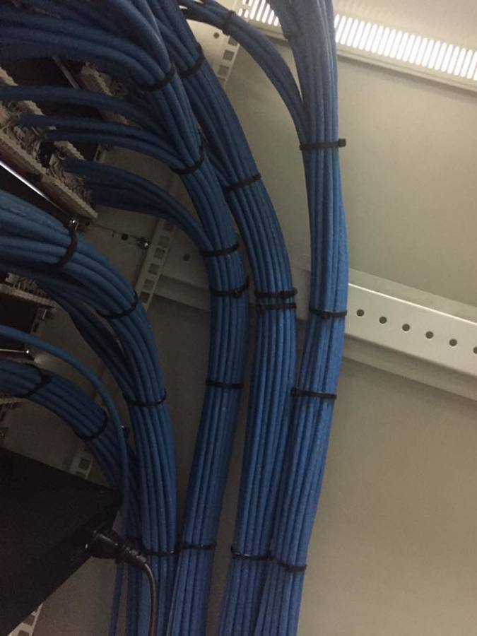 redes cat 6