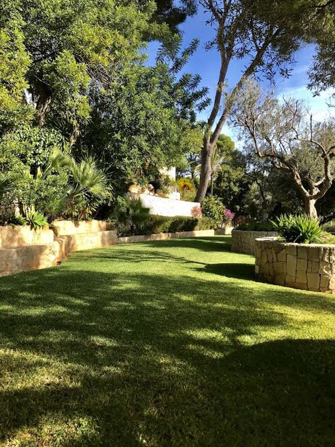 Jardin.