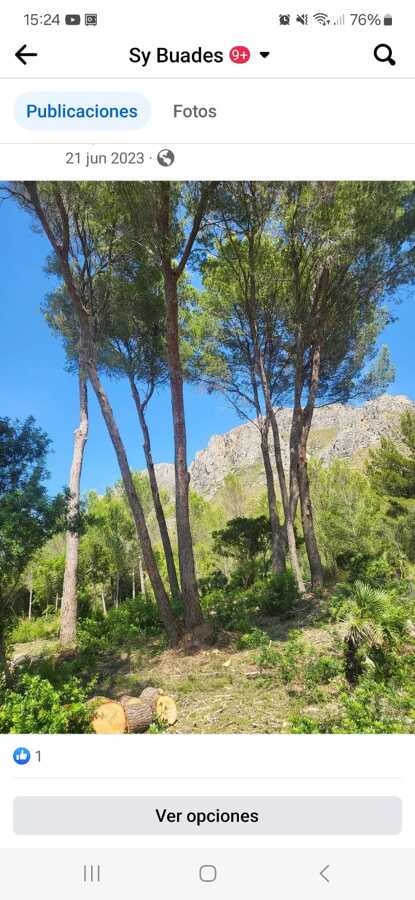 Trabajos Forestales