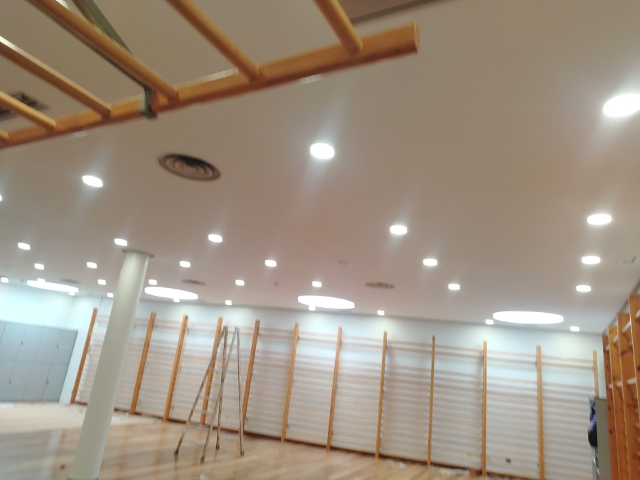 sala pintada