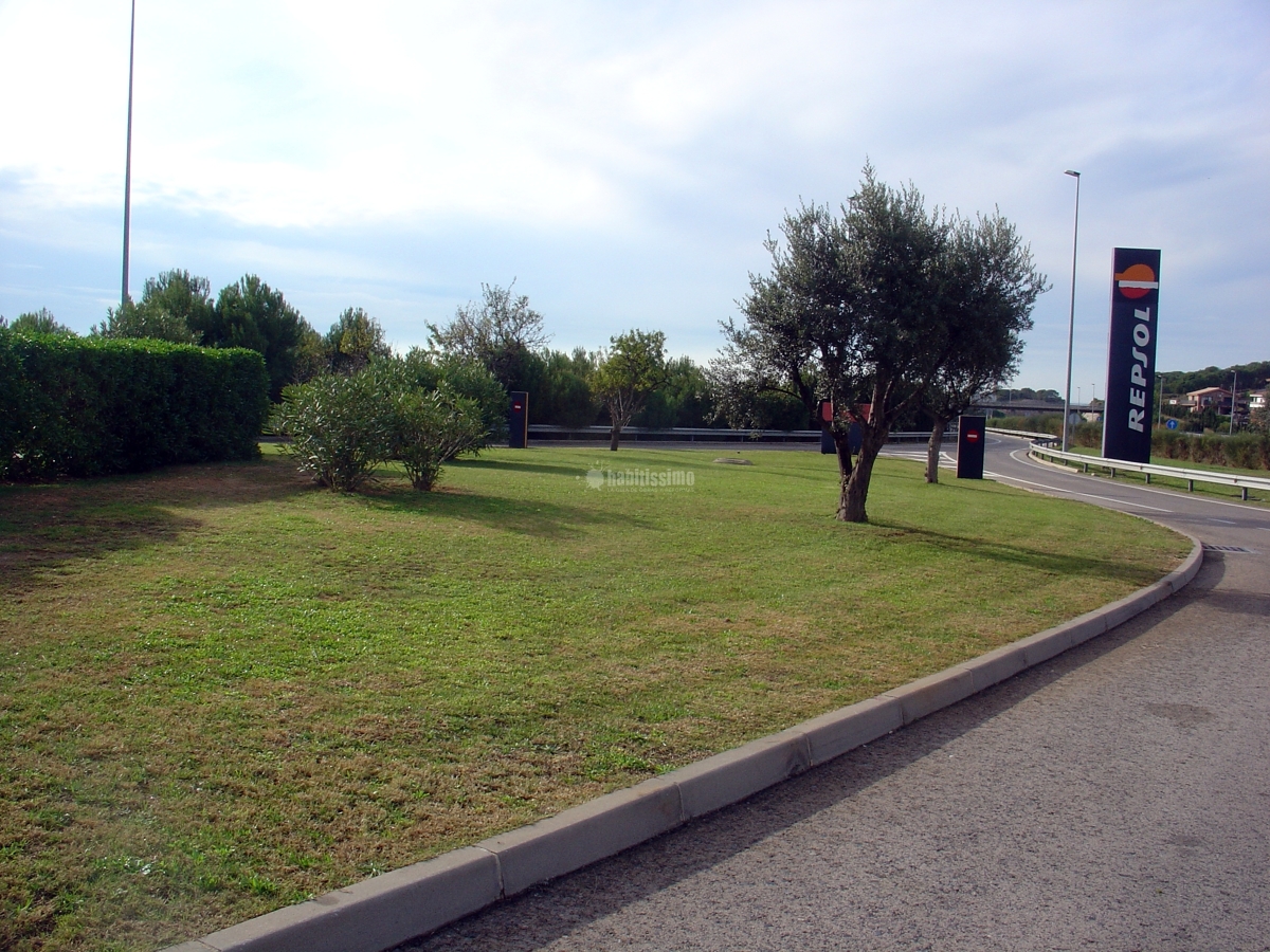 Jardineros, Mantenimiento Jardines, Tala Árboles