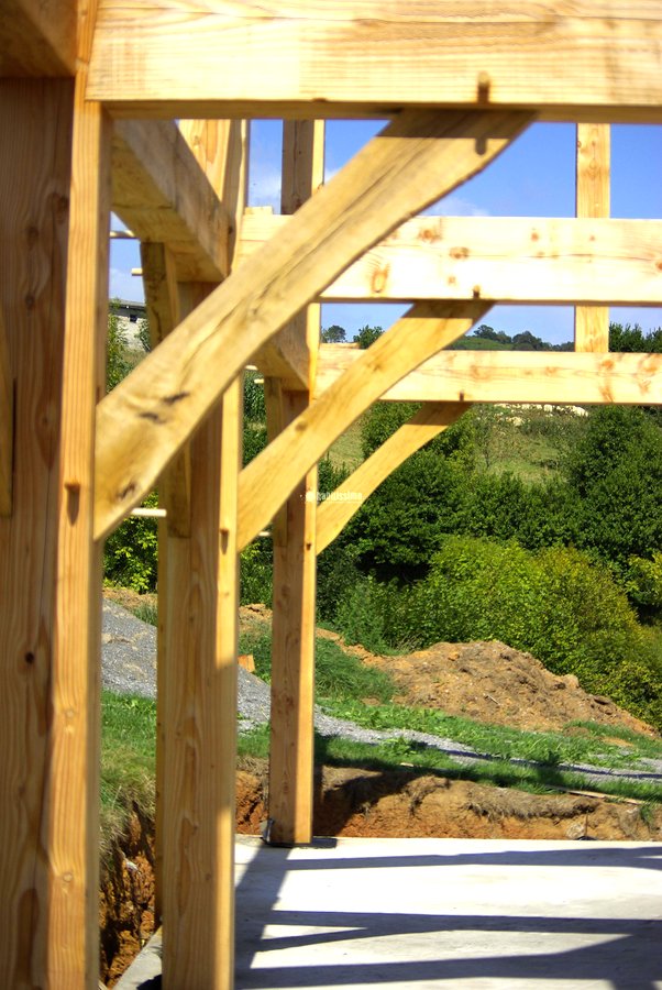 Construcción Casas, Construcción Edificios, Carpinteros