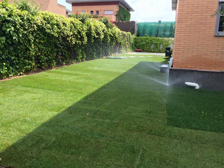 Instalación de césped