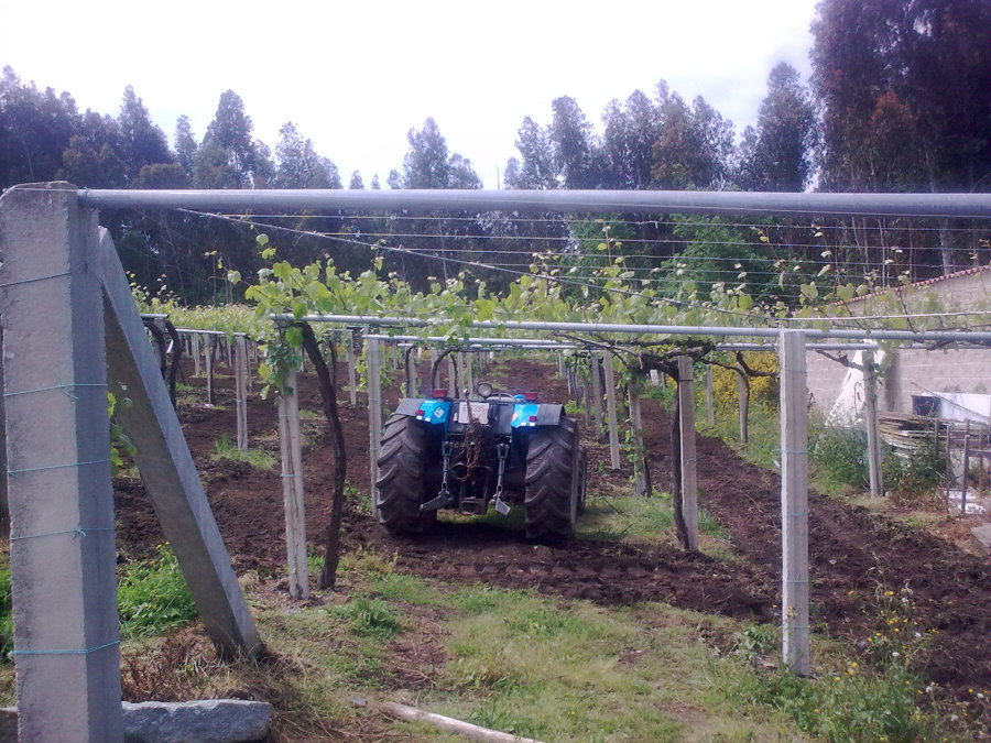 finca