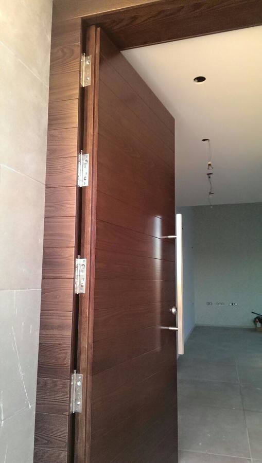 PUERTAS DE ENTRADA