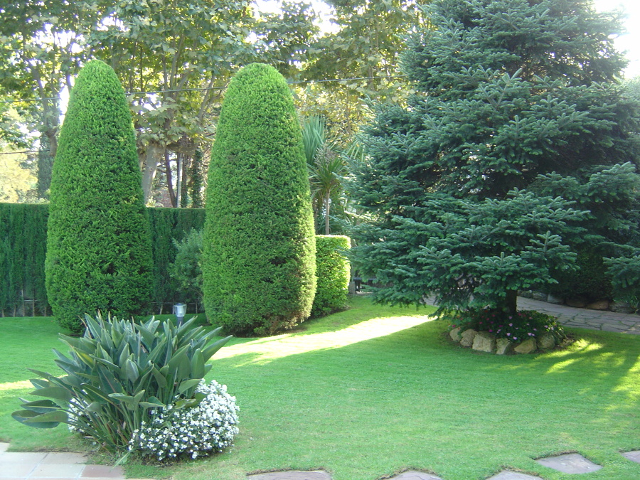 Jardin
