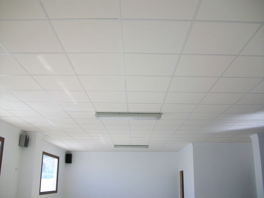 Techos Oficinas