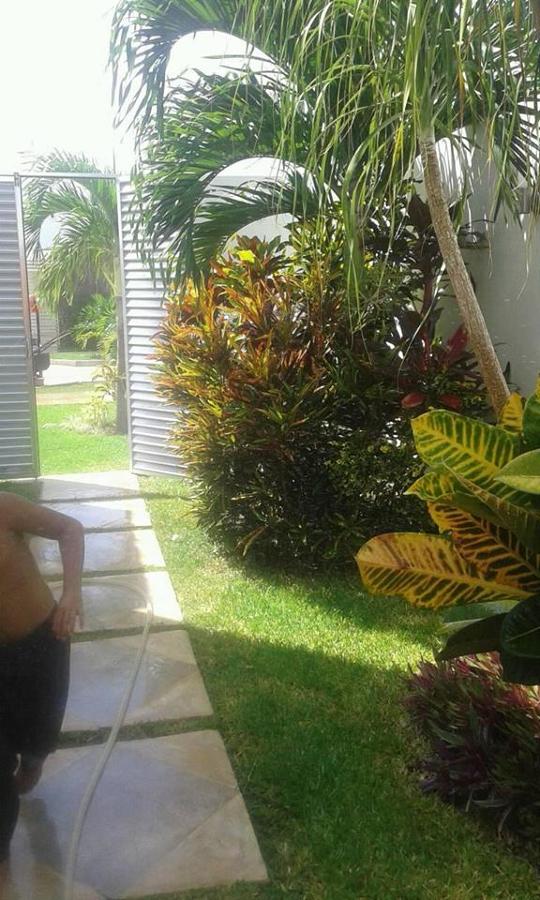 Trabajos realizados