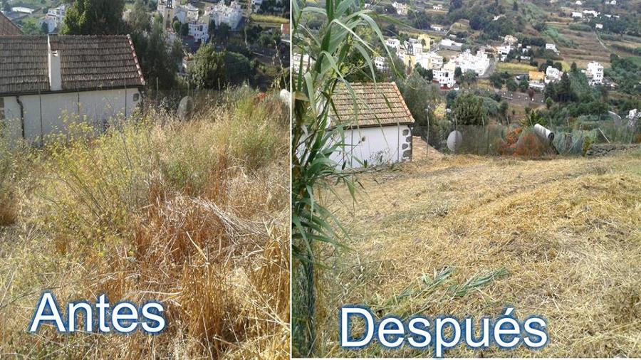 Limpieza terreno