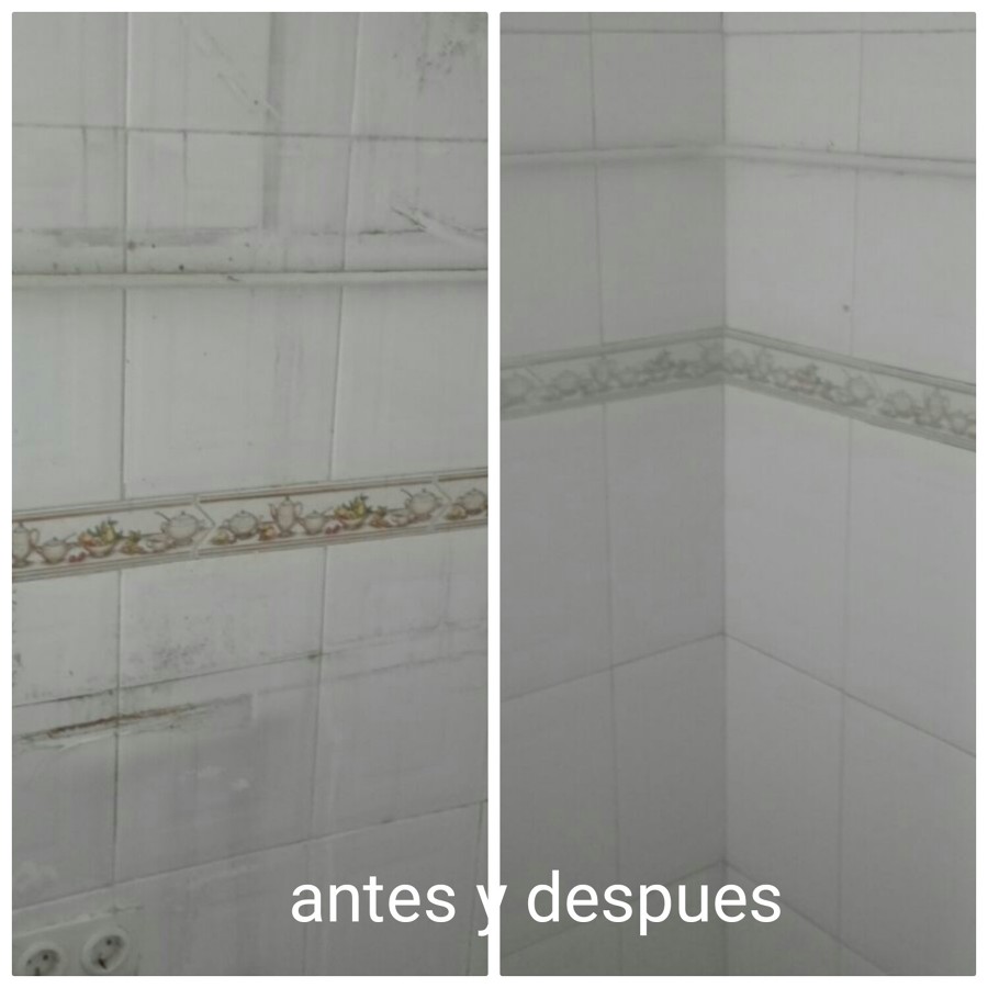 limpieza azulejos de cocina