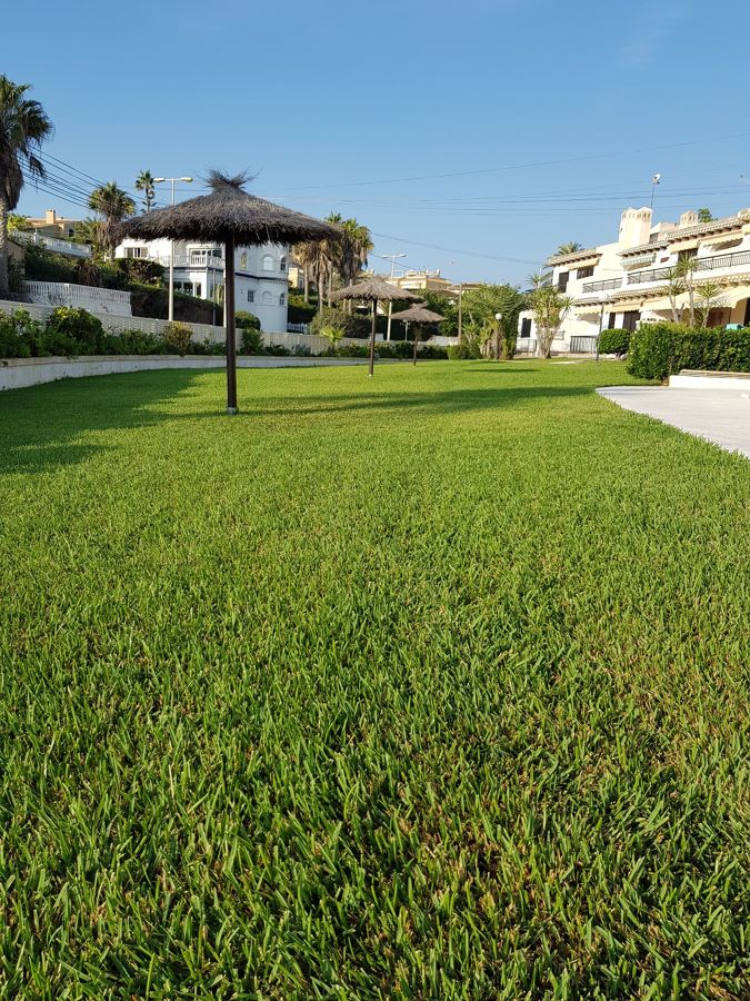 Mantenimiento de jardines