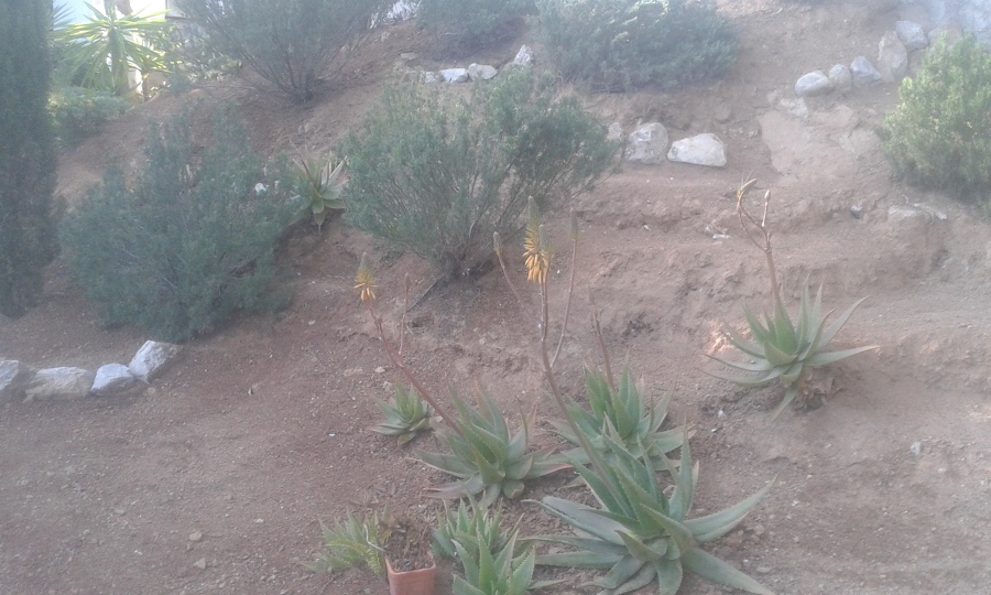 JARDINERIA