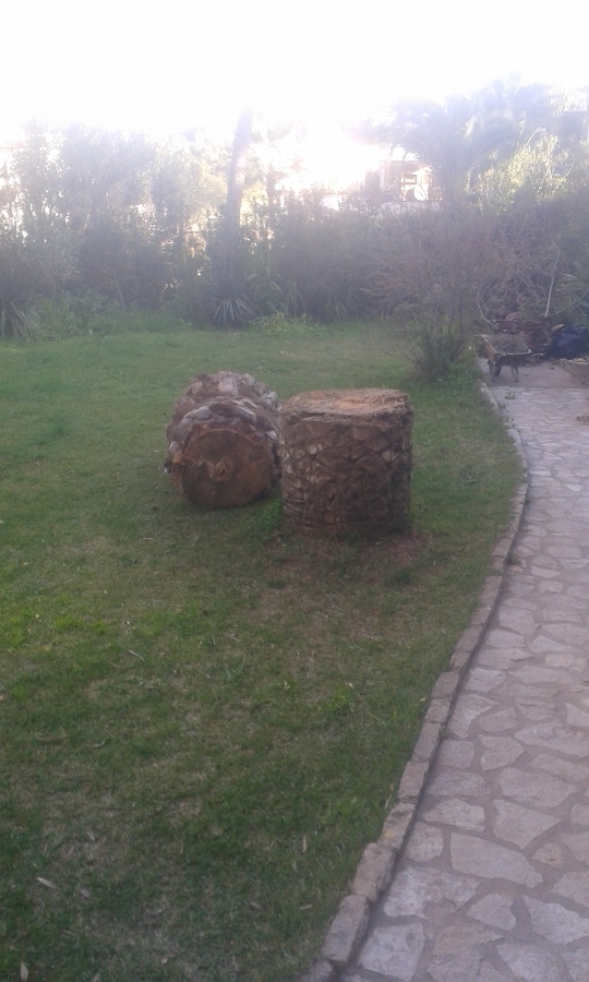 JARDINERIA - PODAS
